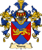 English Family Coat of Arms (v.25) Young II