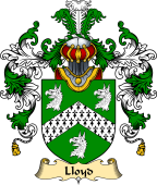 Irish Family Coat of Arms (v.25) Lloyd