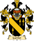 English Family Coat of Arms (v.25) Carrier