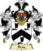 English Family Coat of Arms (v.25) Bray or Bree