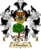 Irish Family Coat of Arms (v.25) O'Donellan or Donlon