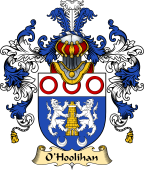 Irish Family Coat of Arms (v.25) O'Holohan or Hoolihan