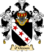 Irish Family Coat of Arms (v.25) O'Gleeson or Glissane