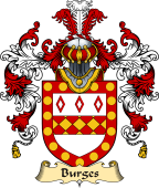 Irish Family Coat of Arms (v.25) Burges