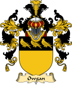 Irish Family Coat of Arms (v.25) Owgan