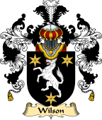 Irish Family Coat of Arms (v.25) Wilson I