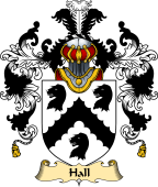 Irish Family Coat of Arms (v.25) Hall