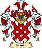 English Family Coat of Arms (v.25) Branch (e)