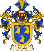 English Family Coat of Arms (v.25) Sawle