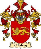 Irish Family Coat of Arms (v.25) O'Falvey