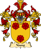 English Family Coat of Arms (v.25) Young I