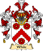 Irish Family Coat of Arms (v.25) White or Whyte