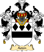 Irish Family Coat of Arms (v.25) Aston