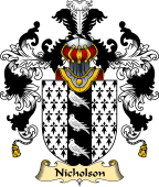 Irish Family Coat of Arms (v.25) Nicholson