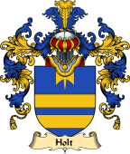 English Family Coat of Arms (v.25) Holt I