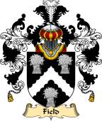 English Family Coat of Arms (v.25) Field