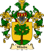 Irish Family Coat of Arms (v.25) Woods