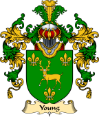 Welsh Family Coat of Arms (v.25) Young (of Tredrysi, Pembrokeshire)