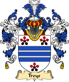 English Family Coat of Arms (v.25) Treys