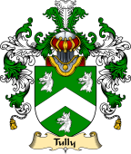 Irish Family Coat of Arms (v.25) Tully or MacAtilla